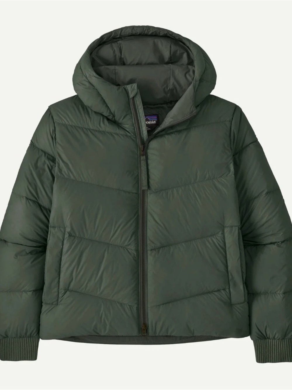 Patagonia Sindit Hoody Jacket Old Growth Green Women's Size: Large